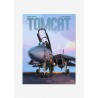 TOMCAT - BD par Romain Hugault | ★ Barnstormer-USA ★