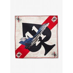 "VF41" scarf